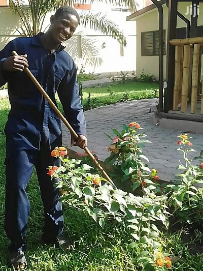 Our Landscaping Department