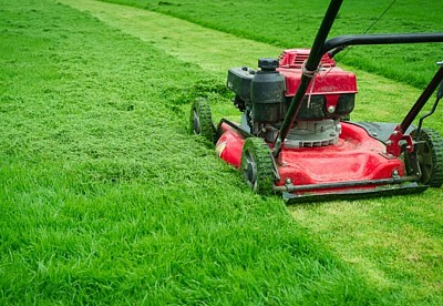 Garden Maintenance