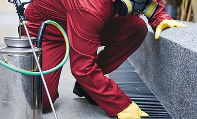 Fumigation & Pests Control