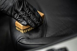 Upholstery Cleaning